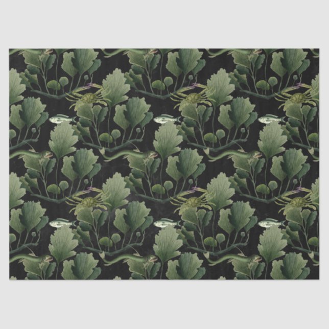 Papier Mousseline Algues et poissons sur la page de découpage noire (Recto)