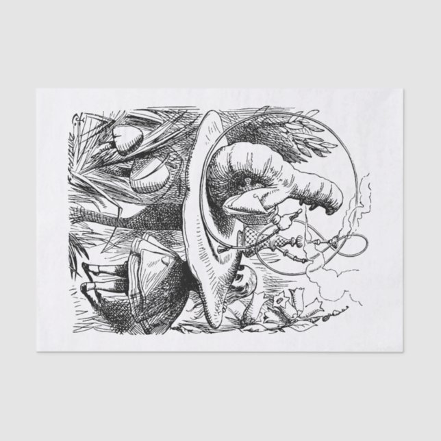 Papier Mousseline Alice au pays des merveilles - Alice rencontre (Recto)