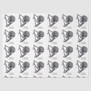 Papier Mousseline Alien gris, la vérité est là