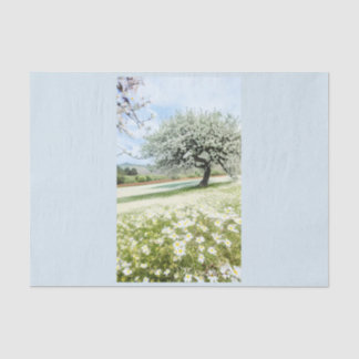 Papier Mousseline Amandiers dans le champ des marguerites par Callis