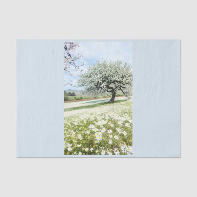 Papier Mousseline Amandiers dans le champ des marguerites par Callis (Recto)