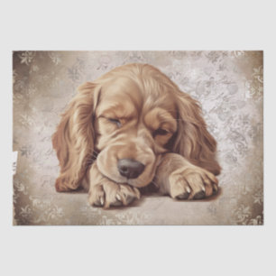 Papier Mousseline American Cocker Spaniel Dormir