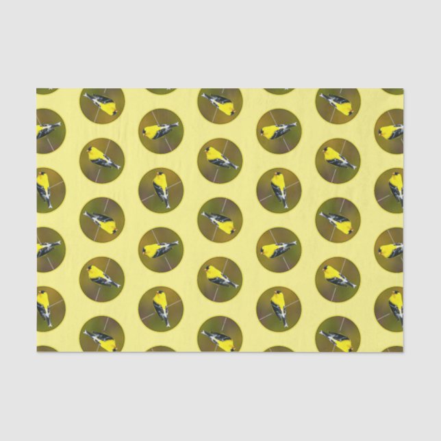 Papier Mousseline American Goldfinch Songbird Photo originale (Recto)