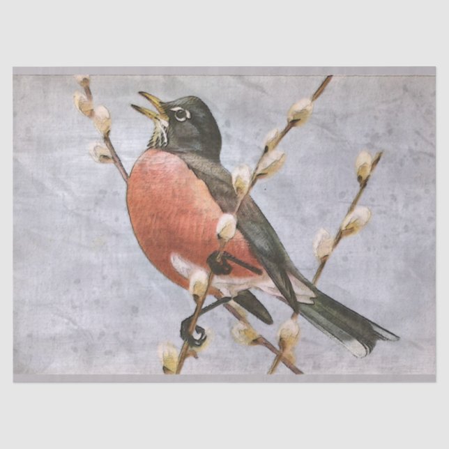 Papier Mousseline American Robin Bird Découpage papier de papier de  (Recto)