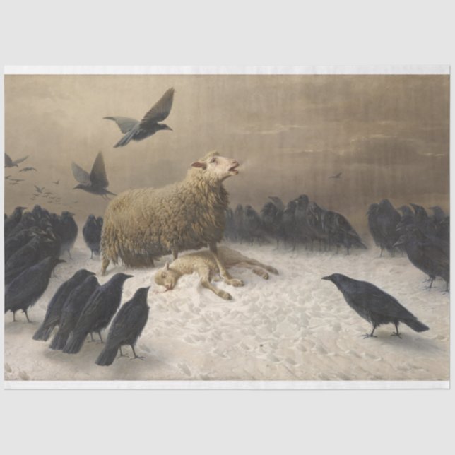 Papier Mousseline Anguish : Mouton avec un agneau mort (Recto)