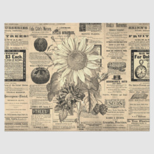 Papier Mousseline Annonces horticoles de tournesol vintage Ephemera