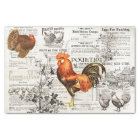 Antique Rooster Vintage Horticulture Annonces Ephe