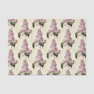 Papier Mousseline Antique Vintage Botanique Violet Lilac Blossom