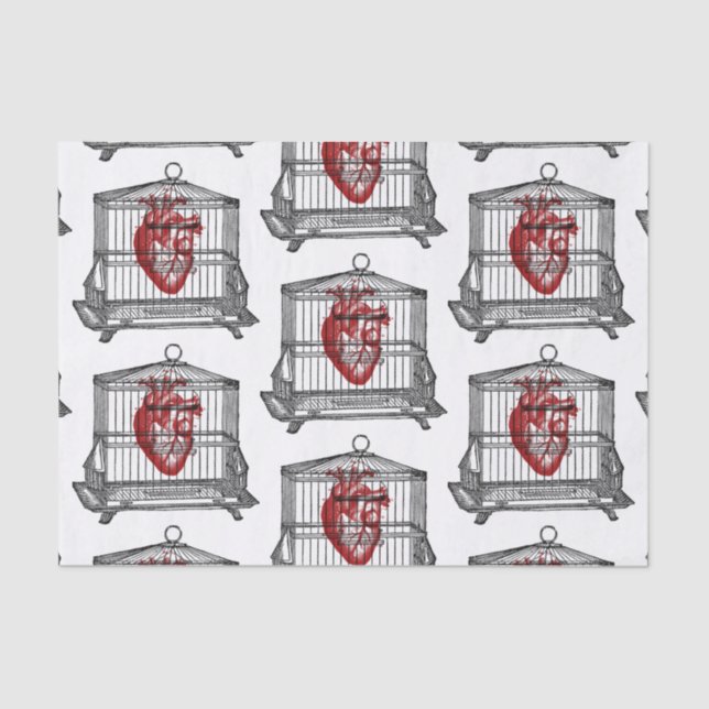 Papier Mousseline Apothécaire (Recto)