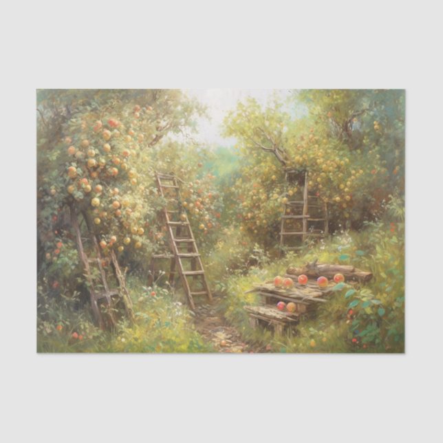 Papier Mousseline Apple Orchard (Recto)
