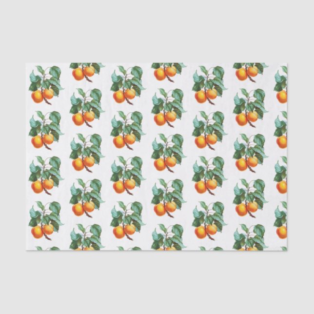 Papier Mousseline Apprentissage sur une branche (Recto)