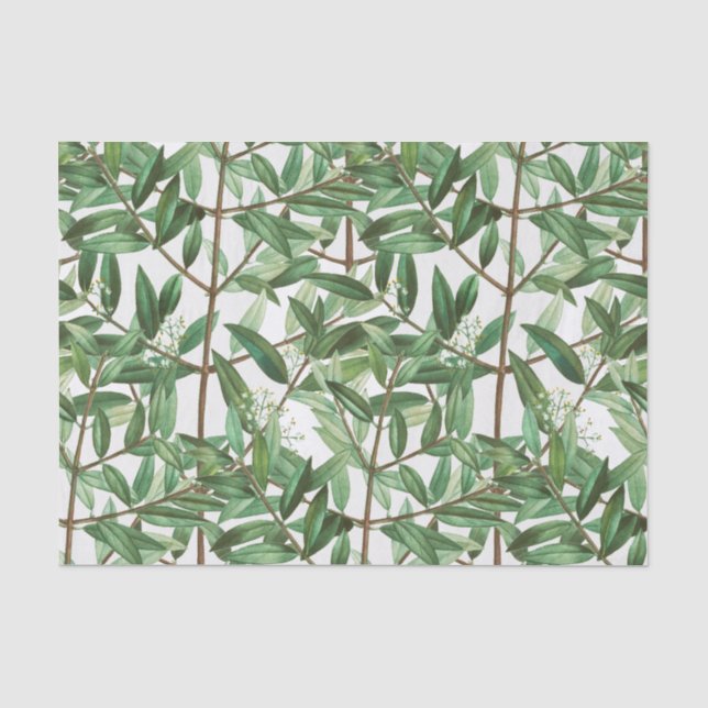 Papier Mousseline Aquarelle botanique de feuillage vert (Recto)