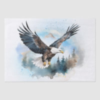Aquarelle d'aigle à tête blanche