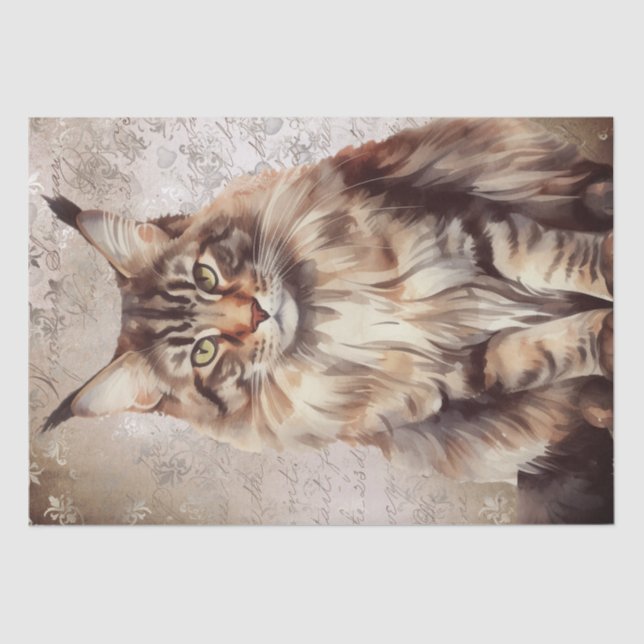 Papier Mousseline Aquarelle de chat Maine Coon (Recto)