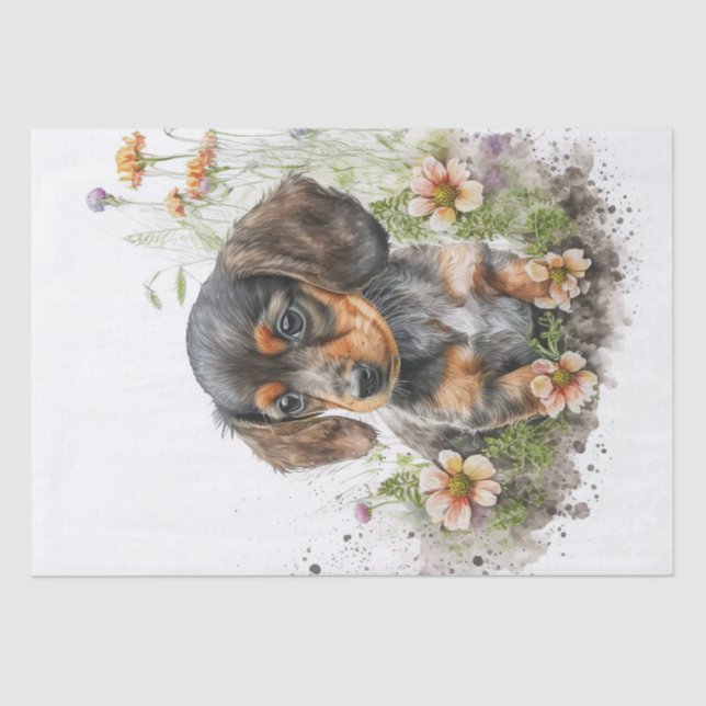 Papier Mousseline Aquarelle de chiot Dachshund (Recto)