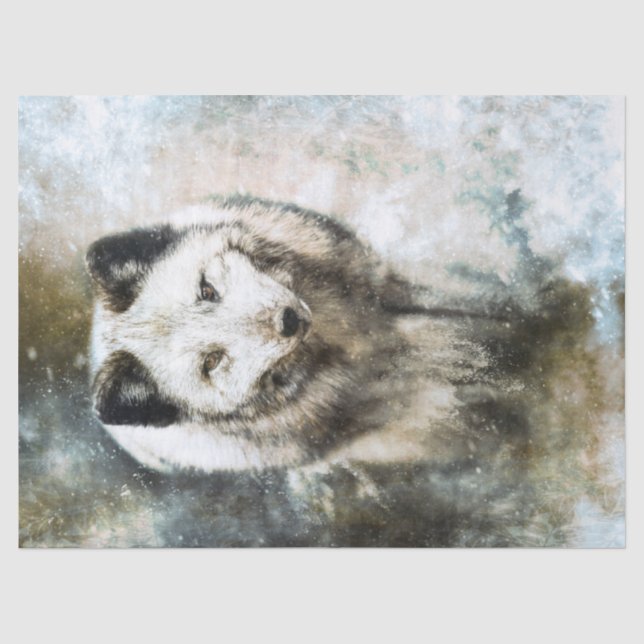 Papier Mousseline Aquarelle de la faune du renard arctique (Recto)