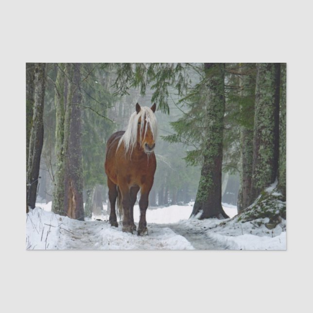 Papier Mousseline Aquarelle de neige de la forêt de cheval (Recto)