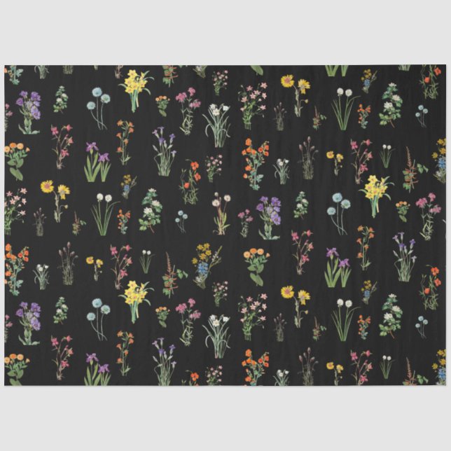 Papier Mousseline Aquarelle fleur sauvage Floral botanique noir (Recto)