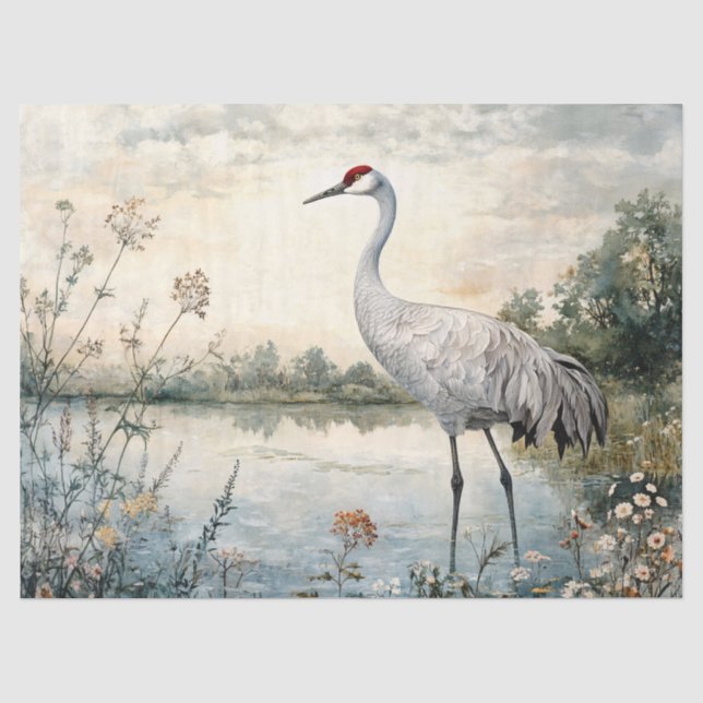 Papier Mousseline Aquarelle Grue Sandhill sur la décantation d'étang (Recto)
