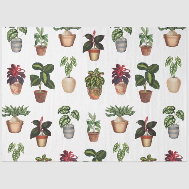 Papier Mousseline Aquarelle Pots Plante Motif Pots en terre cuite (Recto)