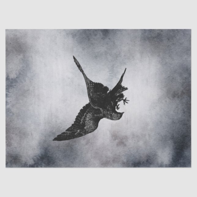 Papier Mousseline Aquarelle Raven (Recto)