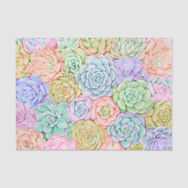 Papier Mousseline Aquarelle Succulente Jolie couleur Pastel (Recto)
