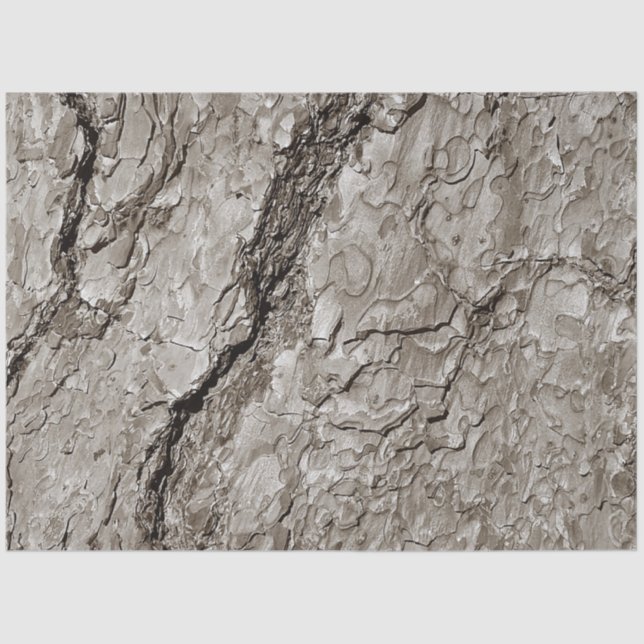 Papier Mousseline Arbre A (Recto)