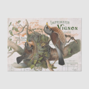 Papier Mousseline Arbre de nids d'oiseaux Vintage français Script Dé