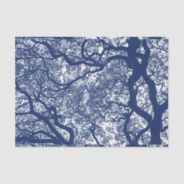 Papier Mousseline Arbre Magnolia - Effet Cyanotype (Recto)