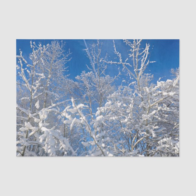 Papier Mousseline Arbres Hiver Paysage Ciel Bleu Couvert de Neige (Recto)