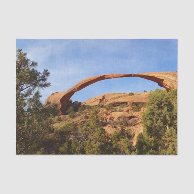 Papier Mousseline Arc paysager au Parc national des Arches (Recto)