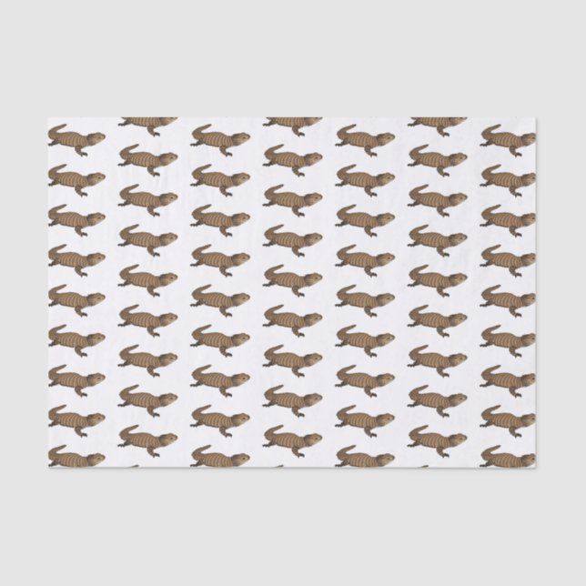 Papier Mousseline Armadillo girdled lizard (Recto)