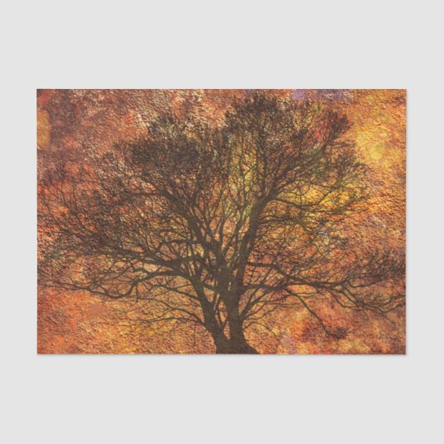 Papier Mousseline Arrière - plan de découpage de l'arbre d'automne r (Recto)