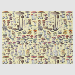 Papier Mousseline Art botanique cottagecore vintage de champignons f
