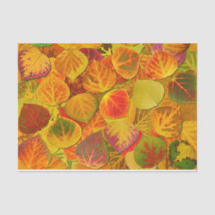 Papier Mousseline Aspen Feuilles Collage Solid Medley 1