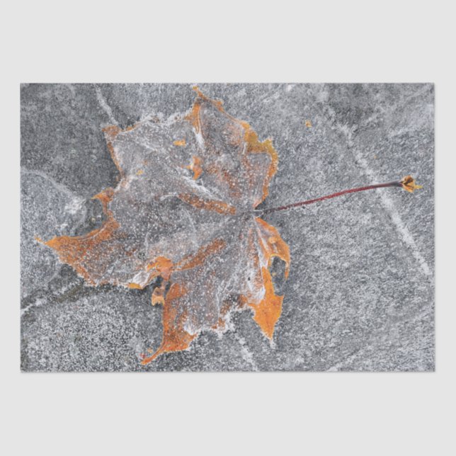 Papier Mousseline Automne Maple Leaf Orange Grey Automne (Recto)