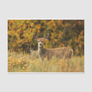 Papier Mousseline Autumn Deer Fawn