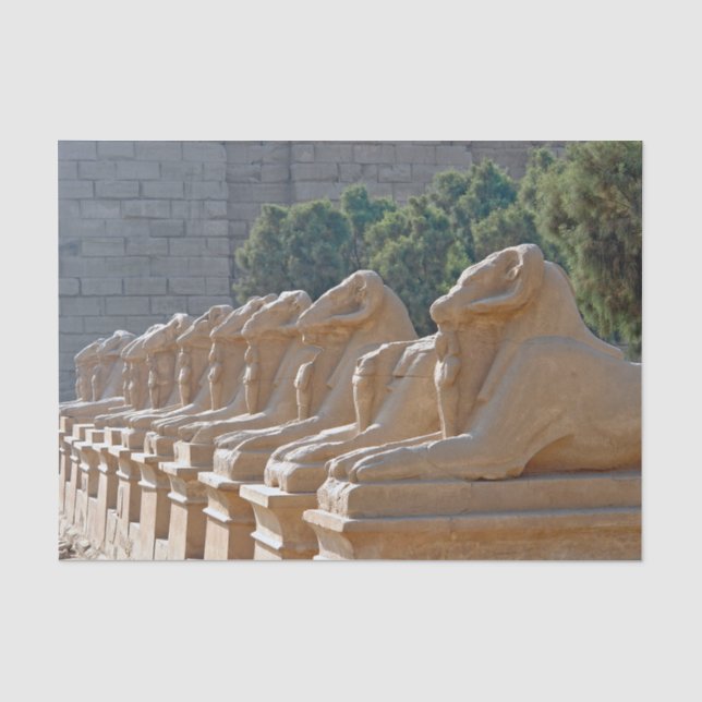 Papier Mousseline Avenue des sphinx dans le temple de Karnak - Egypt (Recto)
