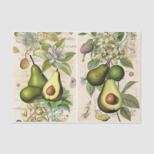 Papier Mousseline Avocados (Recto)