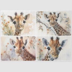 Papier Mousseline Baby Giraffes