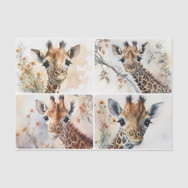 Papier Mousseline Baby Giraffes (Recto)