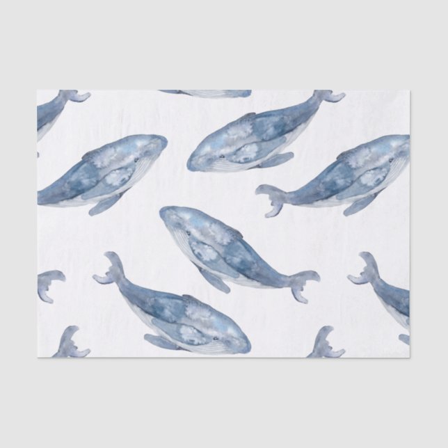 Papier Mousseline Baleines à bosse en aquarelle (Recto)