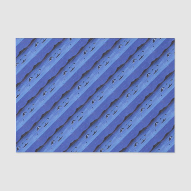 Papier Mousseline Baleines tueuses (Recto)