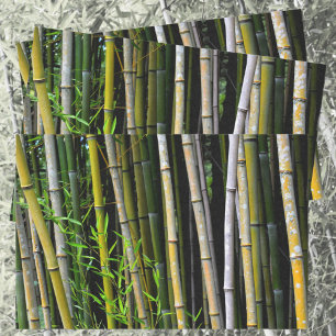 Papier Mousseline Bamboo Grove Photographie naturelle