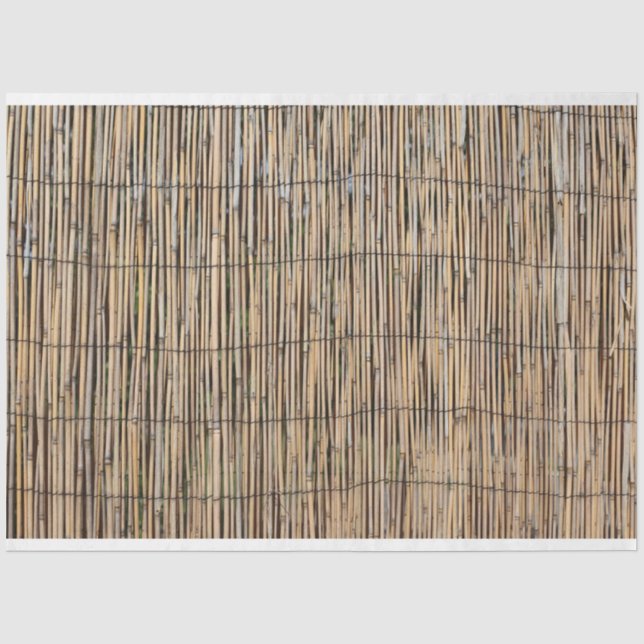 Papier Mousseline Bambou (Recto)