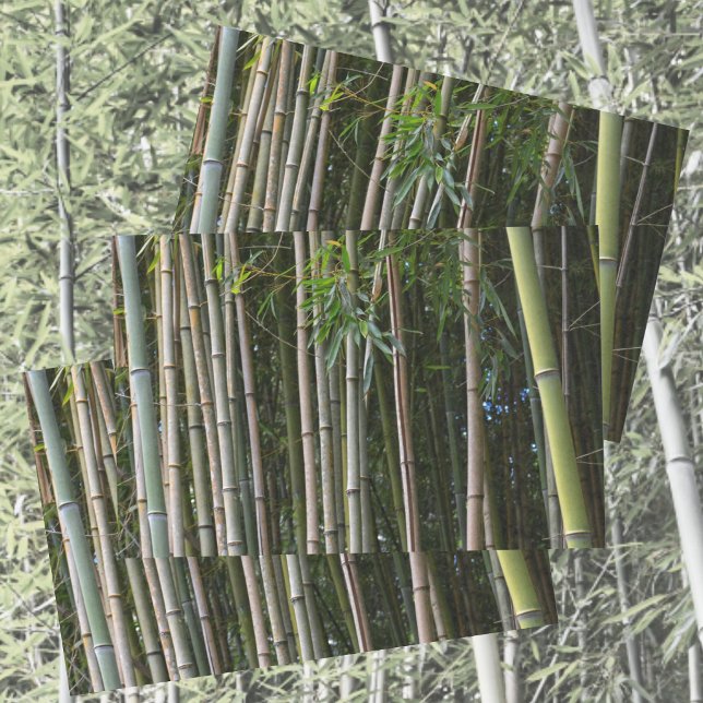 Papier Mousseline Bambou Arbres Grove Photographie naturelle (Créateur téléchargé)