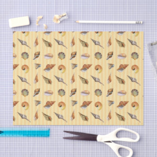 Papier Mousseline Bande de sable de papier de coquillage vintage