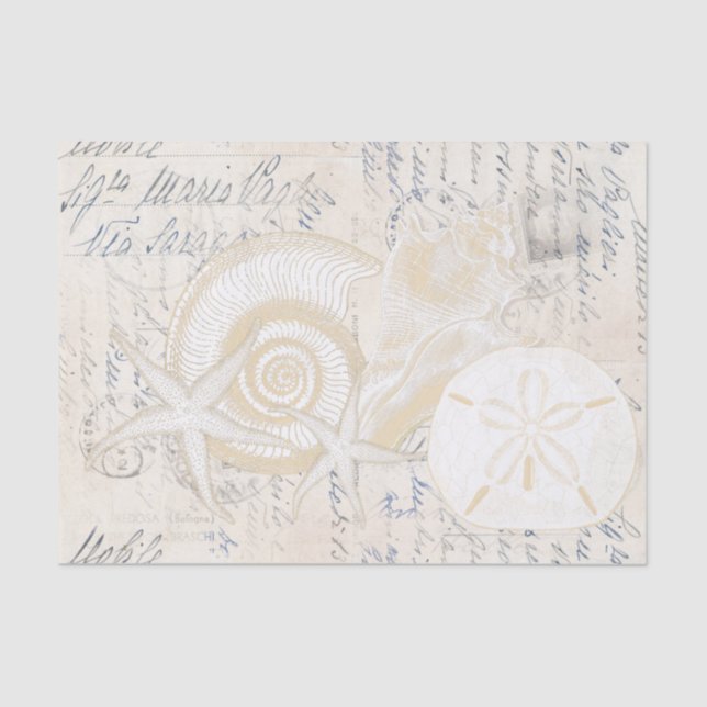 Papier Mousseline Beach Seashells Crème Italien Écriture Tissu Papie (Recto)
