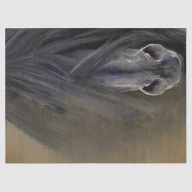 Papier Mousseline Beau Cheval Noir (Recto)