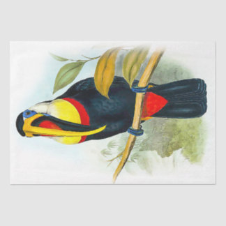 Papier Mousseline Beau Oiseau Vintage Toucan